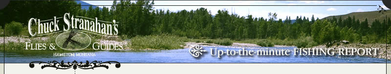 Up to the minute fishing report