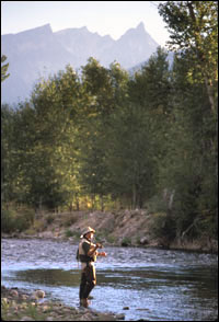 Bitterroot River Hatch Chart